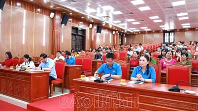La Federación de Trabajadores del Distrito de Binh Luc resume las actividades sindicales para el año escolar 2024-2025