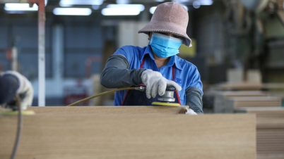 Cải cách thể chế mạnh hơn nữa