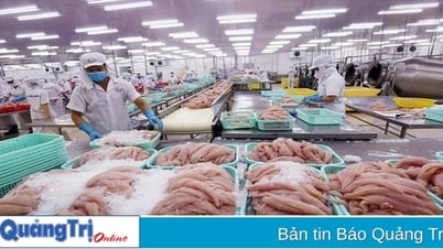 Đề nghị hỗ trợ doanh nghiệp xuất khẩu thủy sản vào thị trường Nga