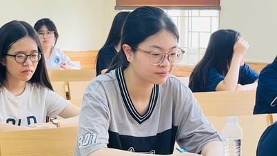 Đề thi và đáp án môn tiếng Anh vào lớp 10 tỉnh Đắk Lắk 2025