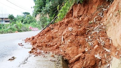 Công bố tình huống khẩn cấp sạt lở đất tại cột điện số 02 đường dây 220kV Sơn Động - Hoành Bồ