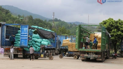 Binh Lieu: Import-Export-Umsatz im Vergleich zum Vorjahreszeitraum stark gesunken