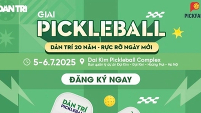Công bố điều lệ thi đấu giải pickleball "Dân trí 20 năm - Rực rỡ ngày mới"