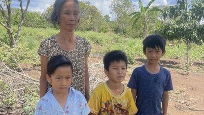 Pitié pour la situation de la vieille grand-mère et de ses trois enfants sans défense