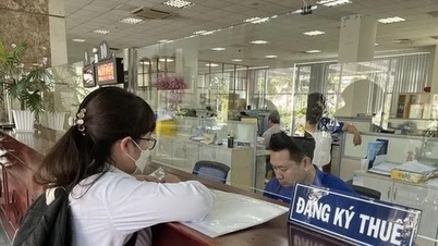 Refuse to transfer money: Tax evasion "trick" or a step back in the digital age?