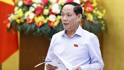 Sửa luật đảm bảo tính khả thi khi sắp xếp bộ máy