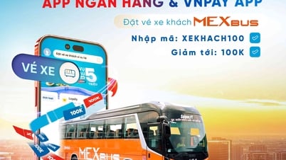 Lịch trình, giá vé, cách đặt nhanh chóng trên VNPAY App và Ứng dụng ngân hàng