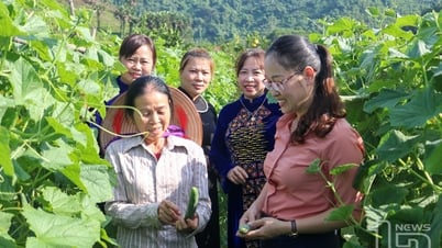 Công nghệ số - 'đòn bẩy' mới cho giảm nghèo bền vững - Kỳ 2: Giải pháp kép