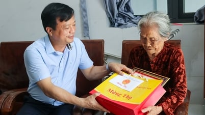 Phó Chủ tịch Thường trực UBND tỉnh Nguyễn Tuấn Thanh thăm, chúc thọ và tặng quà người cao tuổi tiêu biểu tại huyện Phù Cát