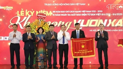 Dan Viet Newspaper celebrates 15 years of launching the Electronic Newspaper and receives the Government's Emulation Flag
