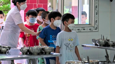 Hà Nội chi hơn 3.000 tỉ đồng hỗ trợ bữa trưa cho 768.000 học sinh tiểu học