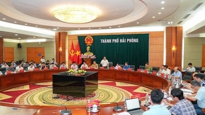 Hải Phòng phấn đấu trong tháng 8/2025 hoàn thành giải phóng mặt bằng dự án tuyến đường sắt