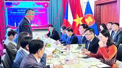 Đoàn công tác của tỉnh Ninh Bình làm việc tại Cộng hòa Séc