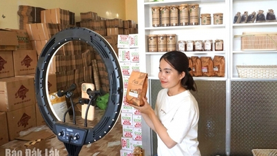 Dak Lak ocupa el puesto 19 en el Índice de comercio electrónico de Vietnam 2025