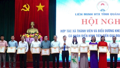 សេដ្ឋកិច្ចសមូហភាពខេត្ត Quang Nam និងវឌ្ឍនភាពប្រកបដោយគុណភាព