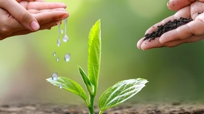 Lanzan el concurso de periodismo sobre protección del medio ambiente para el sector Industria y Comercio en 2025