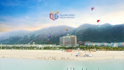 Để Vân Đồn sớm trở thành “ngọn hải đăng” kinh tế biển