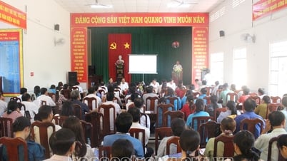 Công ty Esuhai tư vấn phát triển việc làm cho cán bộ không chuyên trách cấp xã, huyện Long Phú
