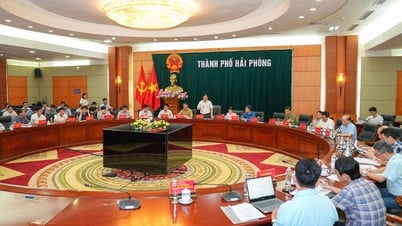 Los líderes de la ciudad escuchan el informe sobre el Plan para la limpieza del sitio y la construcción de áreas de reasentamiento para servir al proyecto ferroviario Lao Cai - Hanoi - Hai Phong.