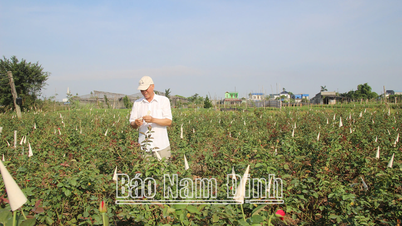 Elderly people participate in building advanced and exemplary new rural areas