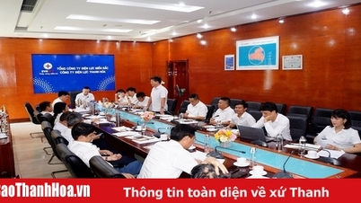 Thanh Hoa Electricity Company는 "소형-전문-심화" 방향으로 운영 장비를 구성합니다.
