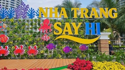 Газета Khanh Hoa будет транслировать в прямом эфире открытие фестиваля морской культуры и туризма 2025 года