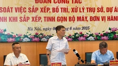 Arranging public assets after streamlining the apparatus, Hanoi takes drastic action