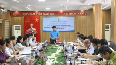 Phản biện xã hội dự thảo chính sách hỗ trợ vận tải công cộng bằng xe buýt trên địa bàn tỉnh