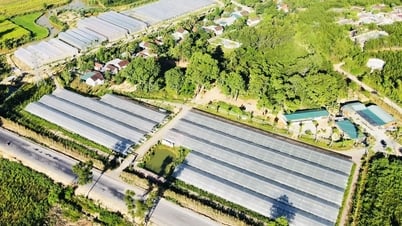 Nghệ An ứng dụng công nghệ cao vào sản xuất nông nghiệp