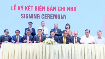 Cooperation opportunities with Japan and ASEAN