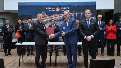 VIMC ký hợp tác chiến lược với Cảng Tallinn – Estonia