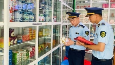 健全な市場の創造