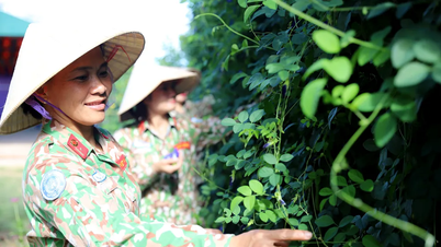 Nữ đại uý công binh Việt Nam lan toả màu xanh ở phái bộ UNISFA