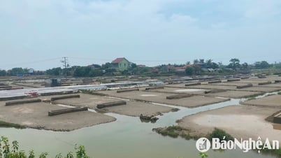 Heavy rains cause damage to salt fields in Quynh Luu