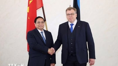 Thủ tướng Phạm Minh Chính đề nghị thành lập Ủy ban hỗn hợp Việt Nam - Estonia