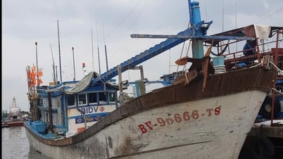Tàu cá vùng khơi bị trói ở vùng lộng