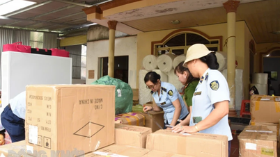 Tiếp tục thực hiện công tác chống buôn lậu, gian lận thương mại và hàng giả trên khu vực biên giới biển, vùng biển và địa bàn nội địa giai đoạn 2022-2025