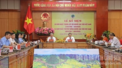 Kỷ niệm 84 năm ngày truyền thống người cao tuổi và 30 năm ngày thành lập Hội Người cao tuổi Việt Nam