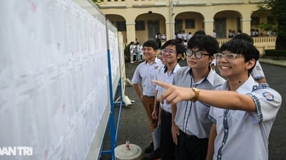 Đề văn thi lớp 10 TPHCM: "Dung hòa giữa kiểm tra và khơi dậy giá trị sống"
