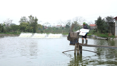 Efficiency from concentrated aquaculture development