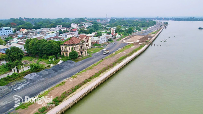 Tăng tốc đưa Dự án Xây dựng kè, đường ven sông Đồng Nai 'về đích'