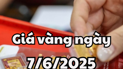 Noticias del precio del oro mañana 6/7/2025 lingotes de oro, anillos de oro fluctúan debido a la política monetaria