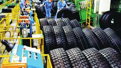 Sudáfrica concluye investigación preliminar sobre evasión de derechos antidumping sobre neumáticos importados de Vietnam