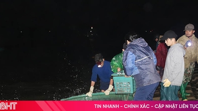 Port de pêche animé, les pêcheurs de Ha Tinh confiants de rester en mer