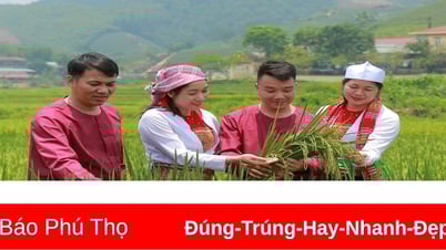 Nông dân Mỹ Thuận giúp nhau phát triển kinh tế