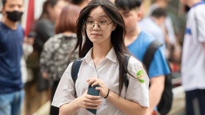Đề thi và đáp án 3 môn thi vào lớp 10 tỉnh Hà Nam năm 2025