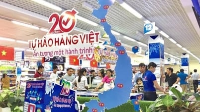 'Elevating' Vietnamese goods in the context of increasingly deep economic integration