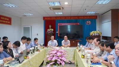 Bàn phương án hợp nhất nền tảng số