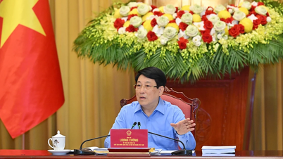 [Photo] President Luong Cuong works with Quang Ninh Provincial Party Committee on implementing Resolution of the 11th Central Conference, 13th tenure