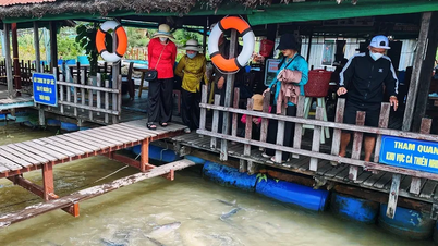 Du lịch xanh lên ngôi, mùa hè 2025